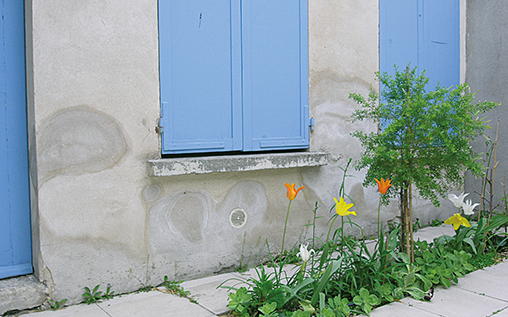 Mur sujet à des remontées capillaires