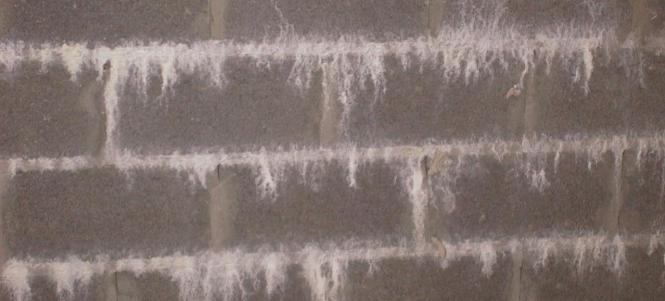 Salpêtre sur un mur