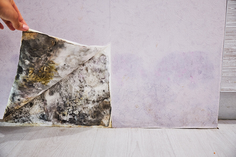 Traces d'humidité dans le mur.