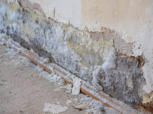 Dépôt de salpetre sur un mur intérieur.
