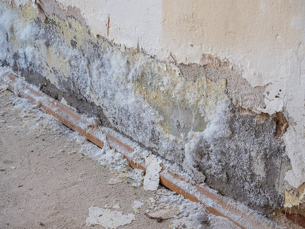 Dépôt de salpetre sur un mur intérieur.