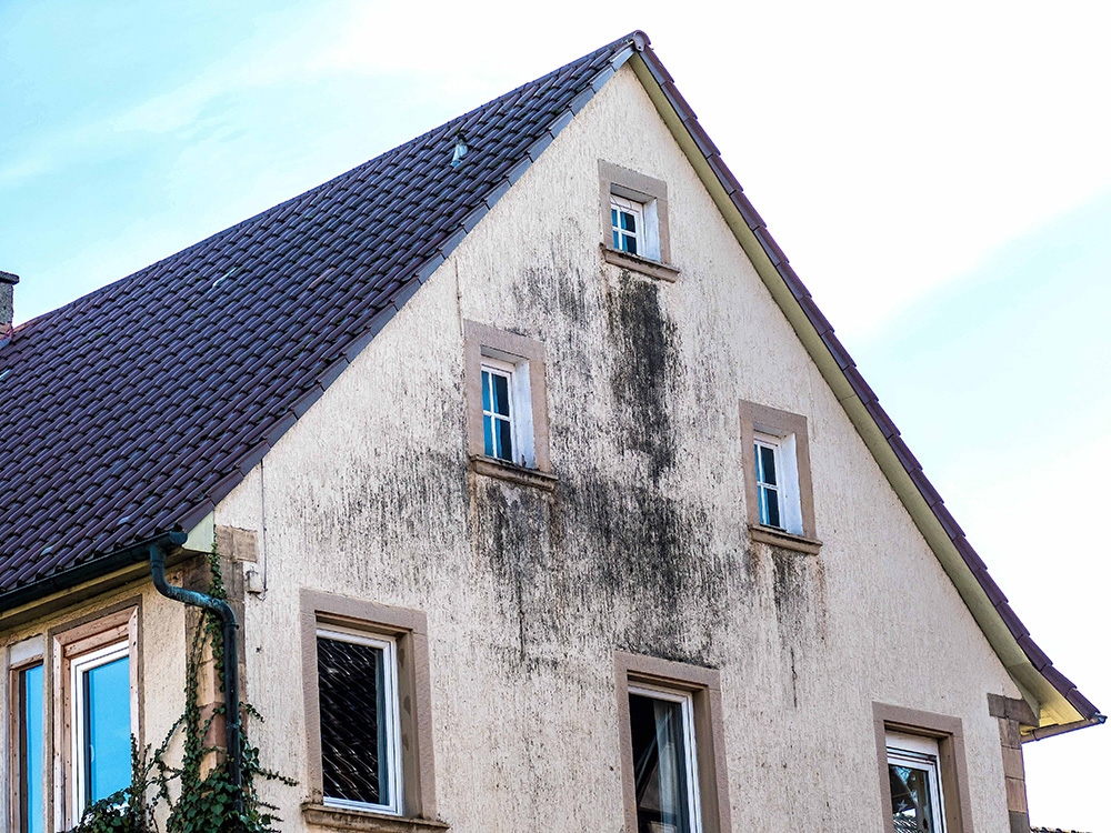 Traitement contre l'humidité de la façade.